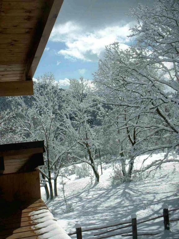 Hotel Rural Las Rozuelas Cercedilla Rum bild